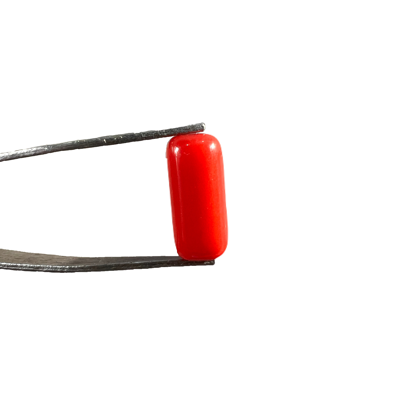 Red Coral (Moonga) - Image 2